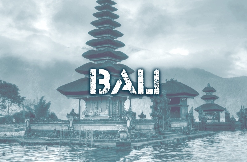 Meet the Charities of the March Bali event